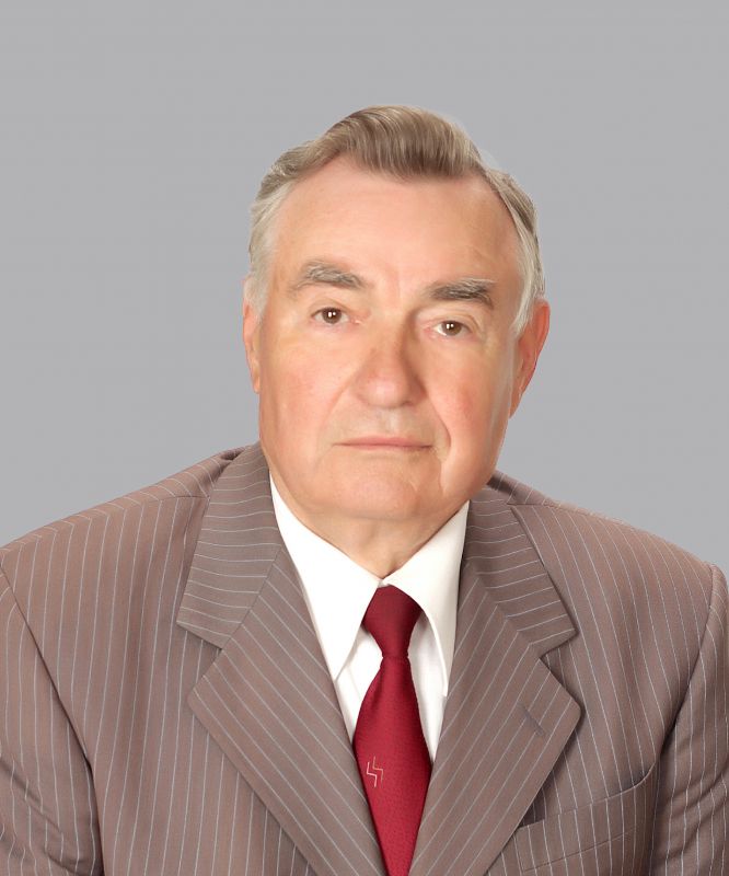 Nicolae Șavga